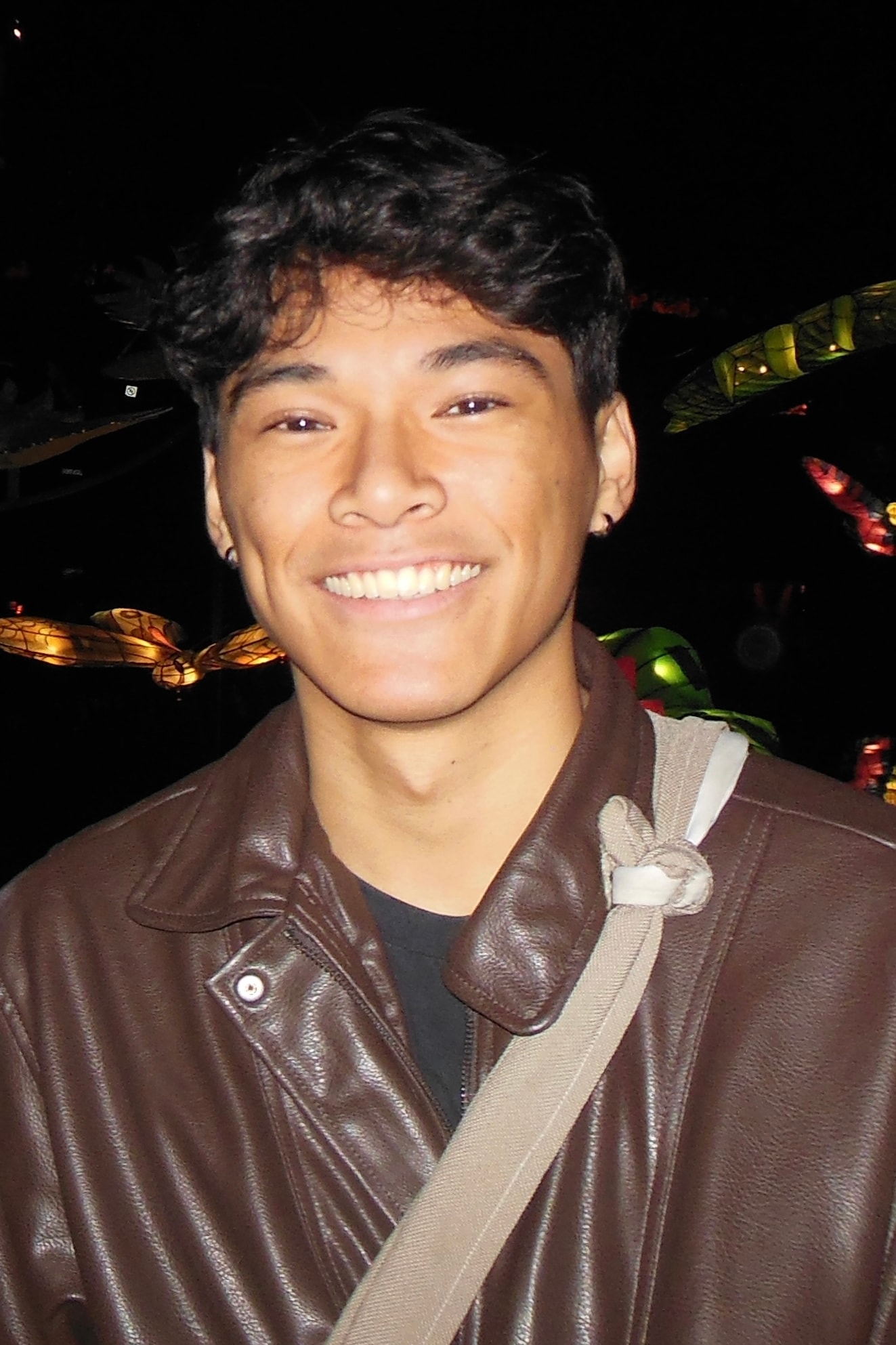 Matthew Lucas Santiago